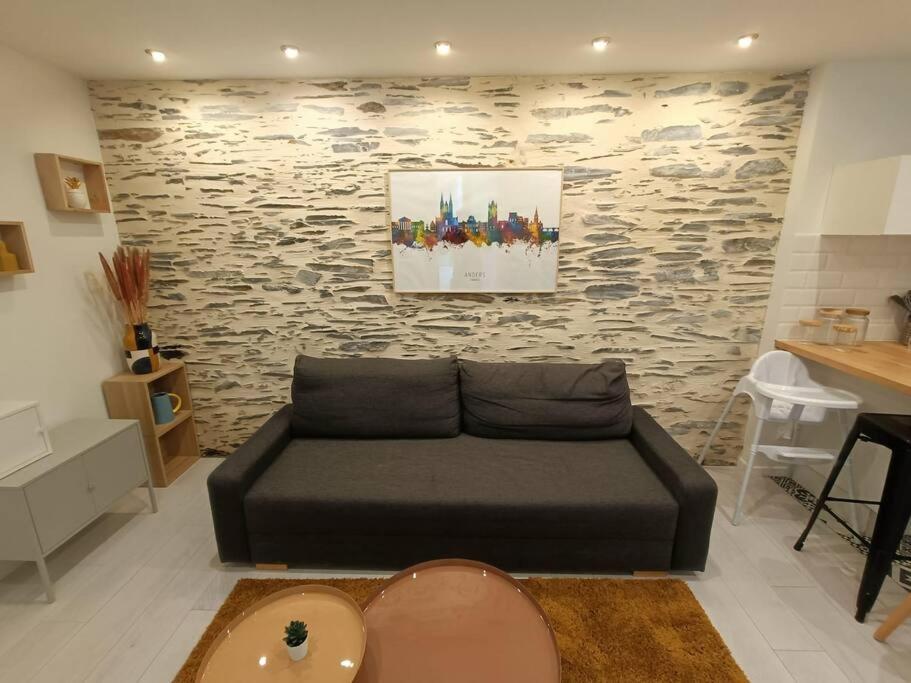 Douceurs Angevine Appartement Angers Buitenkant foto