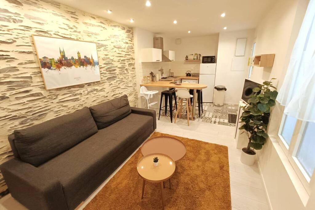 Douceurs Angevine Appartement Angers Buitenkant foto